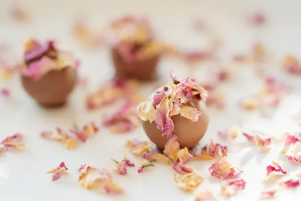 Tusk Kasino Android/iOS aplikace